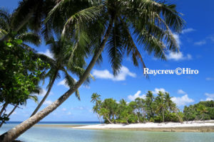 Raycrew, Majuro Marshall Islands, Scuba diving, Snorkeling, Photo works, Charter boat, Marine survey, Hotel, Restaurant Information, レイクルー・マーシャル諸島・マジュロ環礁