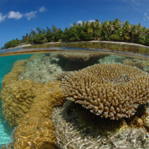 SNORKELING Raycrew, Majuro Marshall Islands, Scuba diving, Snorkeling, Photo works, Charter boat, Marine survey, Hotel, Restaurant Information, レイクルー・マーシャル諸島・マジュロ環礁