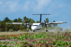 Raycrew, Majuro Marshall Islands, Scuba diving, Snorkeling, Photo works, Charter boat, Marine survey, Hotel, Restaurant Information, レイクルー・マーシャル諸島・マジュロ環礁