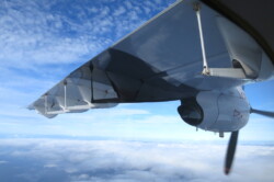 Raycrew, Majuro Marshall Islands, Scuba diving, Snorkeling, Photo works, Charter boat, Marine survey, Hotel, Restaurant Information, レイクルー・マーシャル諸島・マジュロ環礁