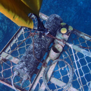 MARINE SURVEY Raycrew, Majuro Marshall Islands, Scuba diving, Snorkeling, Photo works, Charter boat, Marine survey, Hotel, Restaurant Information, レイクルー・マーシャル諸島・マジュロ環礁