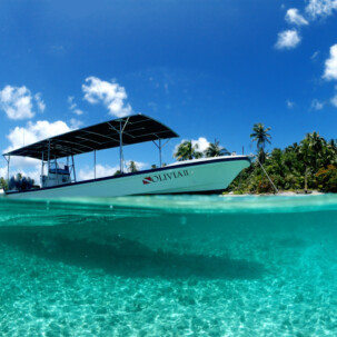 CHARTER BOAT Raycrew, Majuro Marshall Islands, Scuba diving, Snorkeling, Photo works, Charter boat, Marine survey, Hotel, Restaurant Information, レイクルー・マーシャル諸島・マジュロ環礁