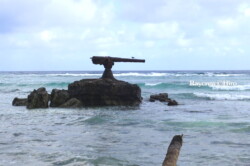 Raycrew, Majuro Marshall Islands, Scuba diving, Snorkeling, Photo works, Charter boat, Marine survey, Hotel, Restaurant Information, レイクルー・マーシャル諸島・マジュロ環礁