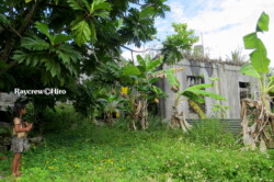 Raycrew, Majuro Marshall Islands, Scuba diving, Snorkeling, Photo works, Charter boat, Marine survey, Hotel, Restaurant Information, レイクルー・マーシャル諸島・マジュロ環礁