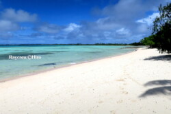 Raycrew, Majuro Marshall Islands, Scuba diving, Snorkeling, Photo works, Charter boat, Marine survey, Hotel, Restaurant Information, レイクルー・マーシャル諸島・マジュロ環礁