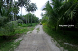 Raycrew, Majuro Marshall Islands, Scuba diving, Snorkeling, Photo works, Charter boat, Marine survey, Hotel, Restaurant Information, レイクルー・マーシャル諸島・マジュロ環礁