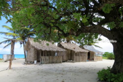 Raycrew, Majuro Marshall Islands, Scuba diving, Snorkeling, Photo works, Charter boat, Marine survey, Hotel, Restaurant Information, レイクルー・マーシャル諸島・マジュロ環礁