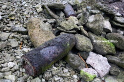 Raycrew, Majuro Marshall Islands, Scuba diving, Snorkeling, Photo works, Charter boat, Marine survey, Hotel, Restaurant Information, レイクルー・マーシャル諸島・マジュロ環礁