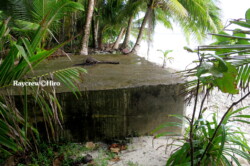 Raycrew, Majuro Marshall Islands, Scuba diving, Snorkeling, Photo works, Charter boat, Marine survey, Hotel, Restaurant Information, レイクルー・マーシャル諸島・マジュロ環礁