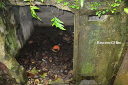 Raycrew, Majuro Marshall Islands, Scuba diving, Snorkeling, Photo works, Charter boat, Marine survey, Hotel, Restaurant Information, レイクルー・マーシャル諸島・マジュロ環礁