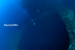 Raycrew, Majuro Marshall Islands, Scuba diving, Snorkeling, Photo works, Charter boat, Marine survey, Hotel, Restaurant Information, レイクルー・マーシャル諸島・マジュロ環礁