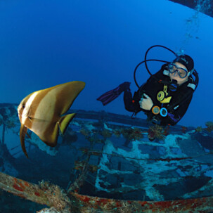 Raycrew, Majuro Marshall Islands, Scuba diving, Snorkeling, Photo works, Charter boat, Marine survey, Hotel, Restaurant Information, レイクルー・マーシャル諸島・マジュロ環礁