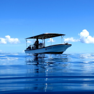 Raycrew, Majuro Marshall Islands, Scuba diving, Snorkeling, Photo works, Charter boat, Marine survey, Hotel, Restaurant Information, レイクルー・マーシャル諸島・マジュロ環礁